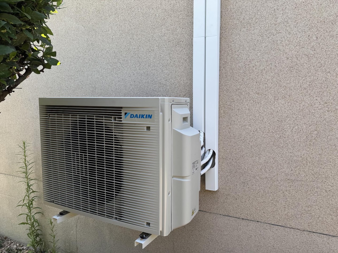 Proelec 36 · Photos 2